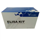 人糖类抗原19-9(CA19-9)ELISA kit